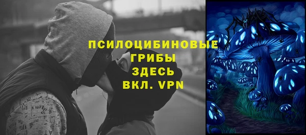 молекула духа Саяногорск