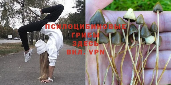 мдма Новозыбков