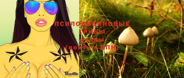 мдма Новозыбков