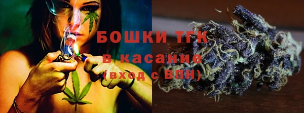 эйфоретик Новодвинск