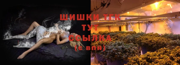 эйфоретик Новодвинск