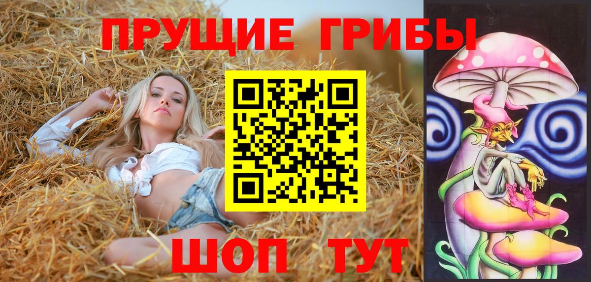 Галлюциногенные грибы GOLDEN TEACHER Знаменск