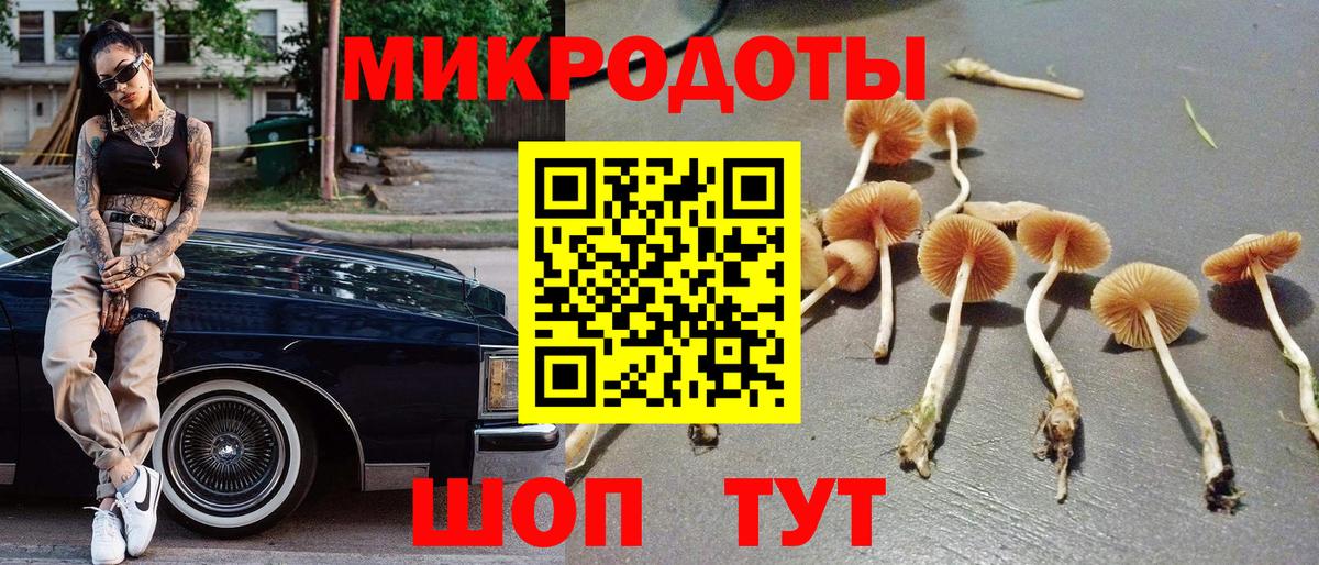 Псилоцибиновые грибы Magic Shrooms  Знаменск  Псилоцибиновые грибы Cubensis 